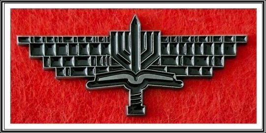 Israel Army IDF Fighter Brigade 613 Hasmonean Lapel Pin Badge - Image 1 of 1