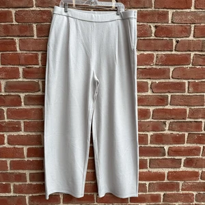 Eileen Fisher $228 Boiled Wool Jersey Pleated Wide-Leg Pant in Chalk 2X NEW - Picture 1 of 6