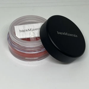 Bare Minerals Powder Cheek Tint Blush in Delight .85g Rare HTF - Picture 1 of 2