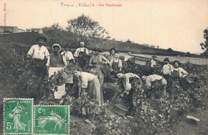 CPA/DEP 69/DENICE LES VENDANGE - Picture 1 of 2