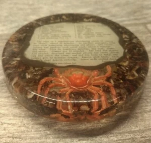 Vintage Gumbo Recipe Resin/epoxy/lucite Clear 8” Rice and seasoning Trivet - Picture 1 of 9