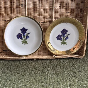 Johann Seltmann Vohenstrauft Bavaria 5569 73 Heavy gold accents w/purple flowers - Picture 1 of 12
