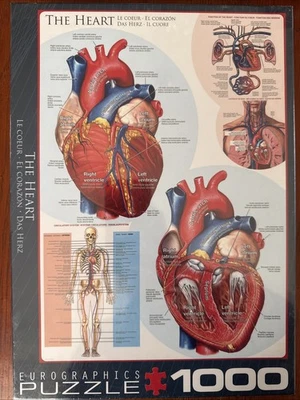 Eurographics Jigsaw Puzzle 1000 Pieces ~ THE HEART Brand New Factory Sealed - Image 1 of 2
