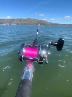 Hookers Cat Cable 8 Hilos Spectra Trenza Línea de Pesca. OR&PK brillo bajo luz UV Foto 1 de 4