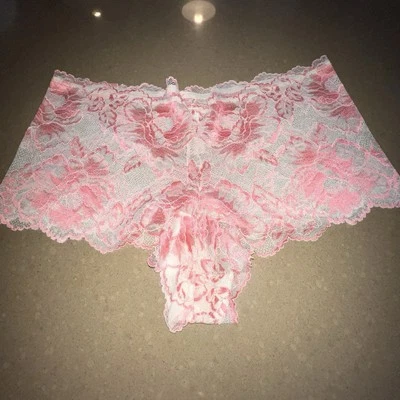 Lane Bryant Cacique Stretch Lace Cheeky Panty Panties 14/16 Pink Peach Sheer - Imagem 1 de 4