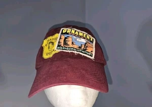 Disneyland Cars Land Radiator Springs Ornament Valley Hat W1 - Picture 1 of 6