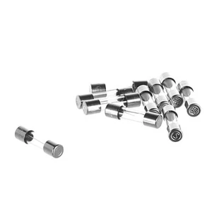 Fusible Convotherm T3.15A 10 piezas 5X20 mm Convotherm 4 4056945 - Imagen 1 de 8