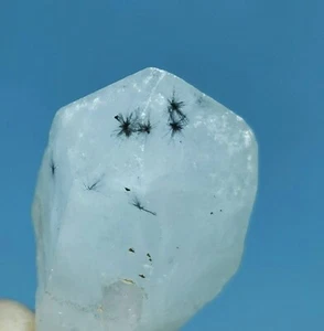 RARO Natural Hollandite Estrella Cuarzo CRISTAL Punta y Cabello Trapiche - Imagen 1 de 10