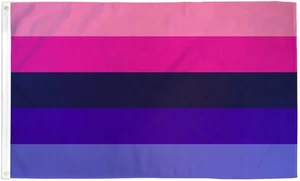 Bandera Orgullo Omnisexual 3x5 pies UltraBreeze LGBTQ Arco Iris Banner Decoración Exterior - Imagen 1 de 2