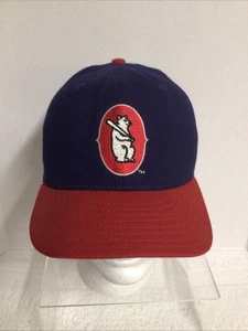 VTG New Era DeLong Orlando Cubs MLB Chicago Cubs Affiliate Fitted Wool Hat 7 1/2 - Picture 1 of 9