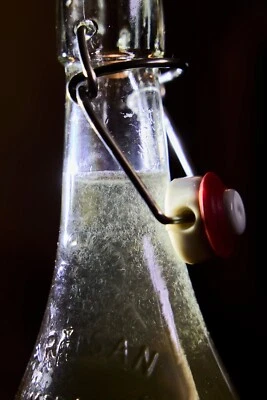 Уксус угорь (Turbatrix aceti) стартовая культура - живой корм для нано-рыб и жареных - Изображение 1 из 2