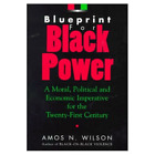 Blueprint For Black Power: Library Bound  Hardcover - By Amos Wilson