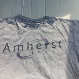 AMHERST COLLEGE JANSPORT Massachusetts grau T-Shirt Herren Large L EUC CLEAN - Bild 1 von 8