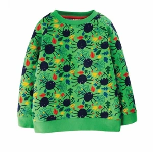 Frugi Boy's Long Sleeve Rex Printed Sweatshirt in Green Spider Web (Imperfect) - Picture 1 of 2