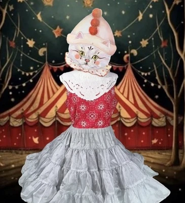 CUELLO BABERO CUELLO ENCAJE PRADERA PAYASO NÚCLEO DE COLECCIÓN HADA TWEE ELFO MÁGICO GÓTICO CAPRICHOSO Foto 1 de 4