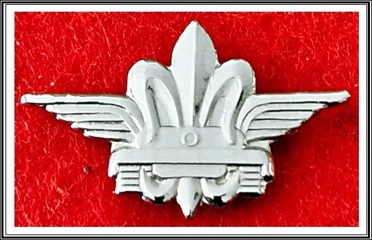 Israel Army IDF Intelligence Force School of Intelligence lapel pin badge - Image 1 of 1