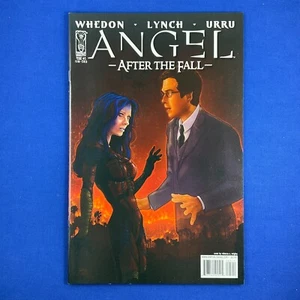 ANGEL After The Fall #5 Rebecca Wrigley Variante IDW 2008 Buffy Vampire Slayer - Imagen 1 de 3