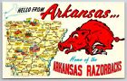 Arkansas ~ Carte d'État ~ Razorbacks ~ Cochon ~ Université de l'Arkansas ~ Grande lettre pc des années 1950