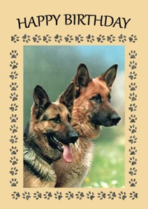 DEUTSCHER SCHSCHÄFERHUND KOPF STUDIE TOLLER HUND GEBURTSTAG GRÜSSE NOTIZKARTE - Bild 1 von 1