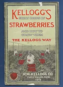 Libretto vintage Kellogg's Grandi colture di fragole e come coltivarle 1918 - Foto 1 di 4