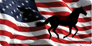 Silhouette Horse On U.S. Flag Photo License Plate - Picture 1 of 1
