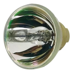 Philips E20.7c 170W/240W 0.8 AC Lámpara Desnuda 9284 487 05390 (Amplia Gama) - Imagen 1 de 6