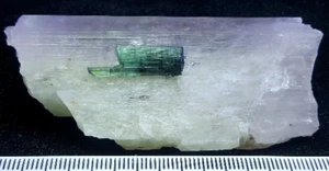 502 Cts Beautiful Color Kunzite with Tourmaline Crystal Specimen Excellent Qty - Picture 1 of 6