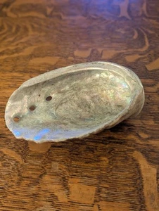 Large Abalone Shell - Picture 1 of 6