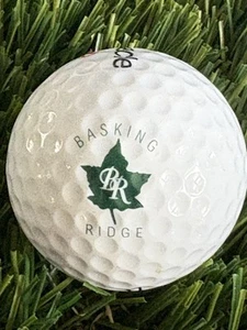 Basking Ridge Country Club Logo Golf Ball- Bernards Township New Jersey NJ - Picture 1 of 1