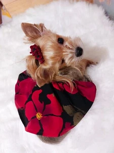 Hundekleid mit Blumennadel für Yorkie Toy Terera Partykleid Hundekleidung - Bild 1 von 8