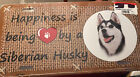 VTG Being Loved By A Siberian Husky License Plate
