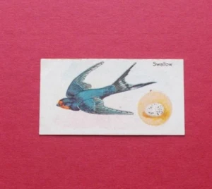 TRADE CARD BY WILLIAM GOSSAGE - BRITISH BIRDS AND THEIR EGGS CARD NO 15 - Picture 1 of 2