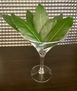 BAY LEAVES 20 GRAMS OF HOME GROWN (20+ LEAVES) - PICKED AS ORDERED - FREE POST - Picture 1 of 8