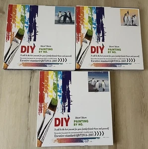 New Paint by Number Kits with Framed Unrolled Canvas DIY Oil Painting 30cm*30cm - Picture 1 of 4