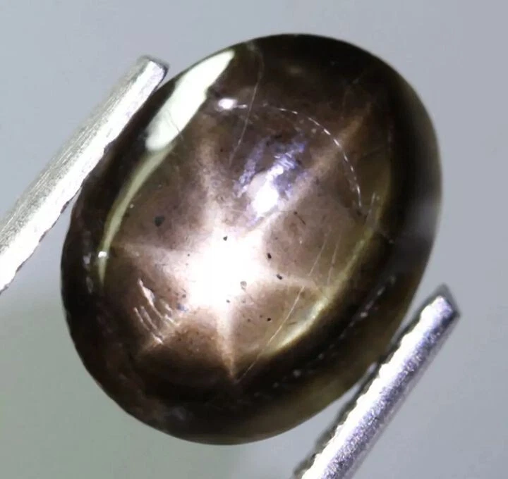 Cabujón de zafiro estrella natural de 1,90 quilates Foto 1 de 1