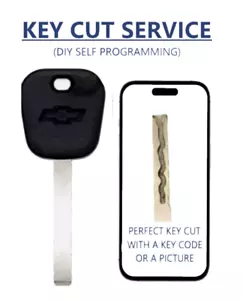 KEY CUT SERVICE + B119 Chevrolet  2010 - 2019  46e chip PROGRAM YOURSELF - Picture 1 of 6