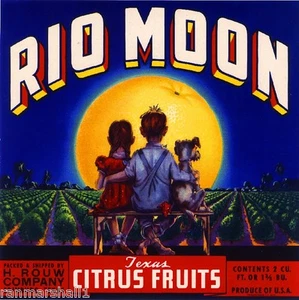 Edinburg Texas Rio Moon Boy Girl Dog Orange Citrus Fruit Crate Label Art Print - Picture 1 of 1