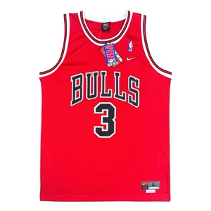 Tyson Chandler Chicago Bulls Vintage Nike Swingman NBA Jersey Size Large NEW - Picture 1 of 9