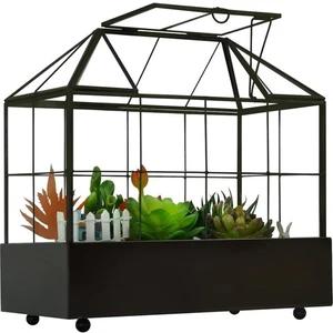 Invernadero grande de vidrio para terrario de plantas altas con tapa y bandeja, mesa interior... - Imagen 1 de 9