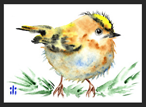 ACEO Watercolor Print Cute Gold-crest Bird Fine Art Painting by ili