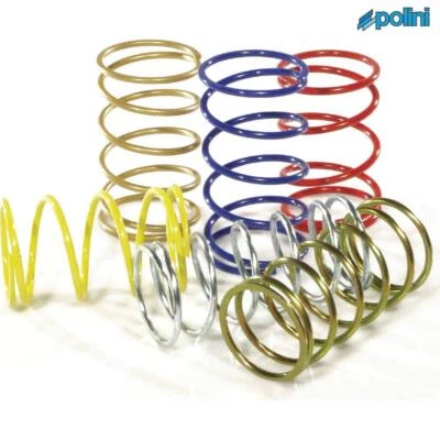POLINI P243043 Ressort Vanne Non Retour Sr R Factory c. -à- Purejet 50 2005-2007 - Photo 1/4