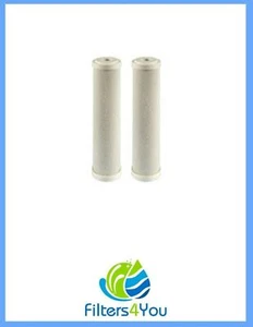2pack CTO Water Filter Replacement Filtration Cartridge for APEC 5 Stage System - Picture 1 of 1