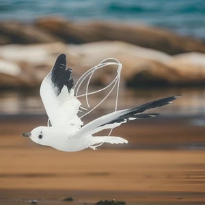 25*22*4.5 Cm Simulated Seagull Artificial Feathered Flying Seagull Foam Bird - Picture 1 of 21