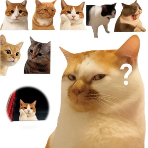 Cute Cat Stickers 1/14pcs Funny Kitten Sticker Waterproof Vinyl - Picture 1 of 25