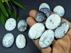 432Cts. Lote de 12 piezas de piedras preciosas sueltas cabujón ágata dendrita natural 30-41 mm E095 - Imagen 1 de 9