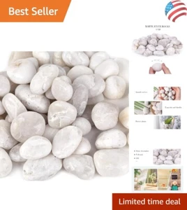 Versatile 2.7lb Polished Pebbles - Ideal Stones for Indoor & Outdoor Decoration - Picture 1 of 8