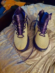 Size 12 - Nike AlphaDunk TB Court Purple - Picture 1 of 5
