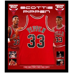 Basketball - Scottie Pippen Signed Framed Chicago Bulls HWC Swingman Jersey - Picture 1 of 4