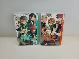 Ein Prinz auf Abwegen, Abenteuer Manga Bände 1+2 im Komplett Set, Tokyopop - Bild 1 von 2