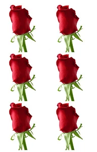 Planche de stickers ROSE - Papier adhésif adhesive autocollant - Picture 1 of 1